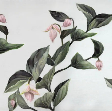 Carta da parati Medinilla di Inkiostro Bianco