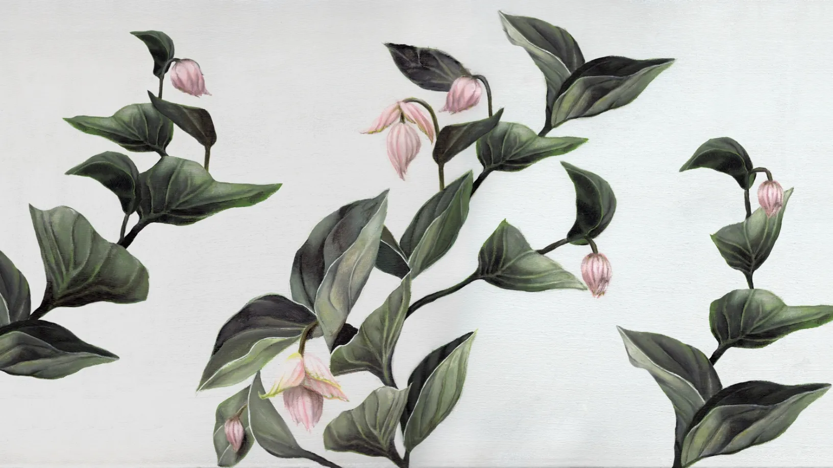 Carta da parati Medinilla di Inkiostro Bianco