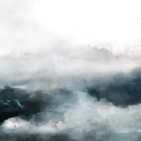 Carta da parati Tempesta di Inkiostro Bianco